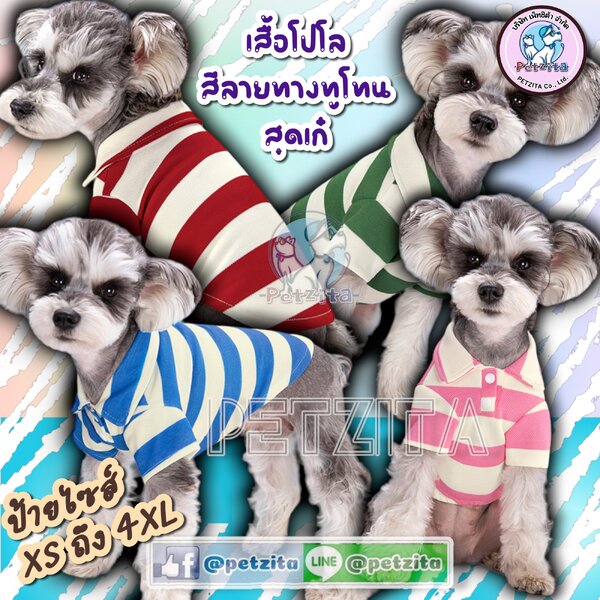 🇹🇭พร้อมส่ง🇹🇭🌈⚡ POLO เสื้อโปโลลายทางสีทูโทน สดใส เก๋ไก๋ อินเทรนด์มากจ้า FOR PET เสื้อสุนัข ห...