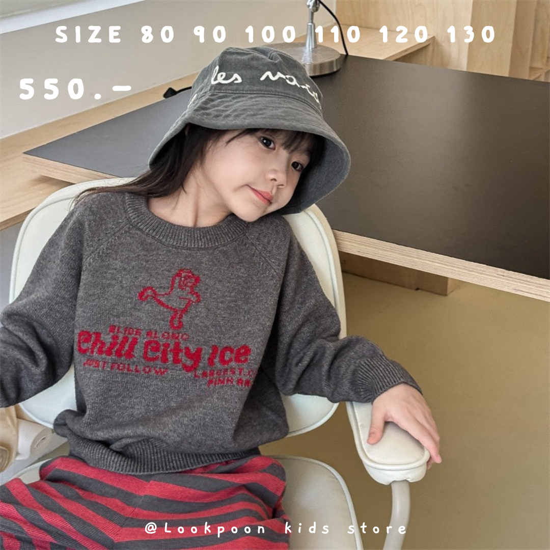 Winter❄️Sweater เสื้อกันหนาว Chill City Ice