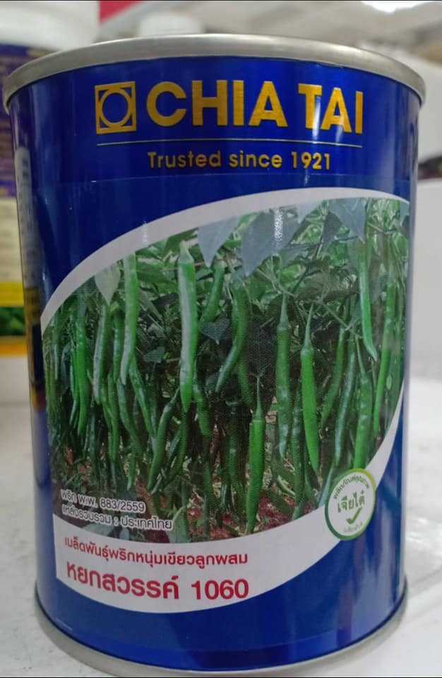 พริกหนุ่มเขียวพริกยำเขียวหยกสวรรค์  #เมล็ดพันธุ์