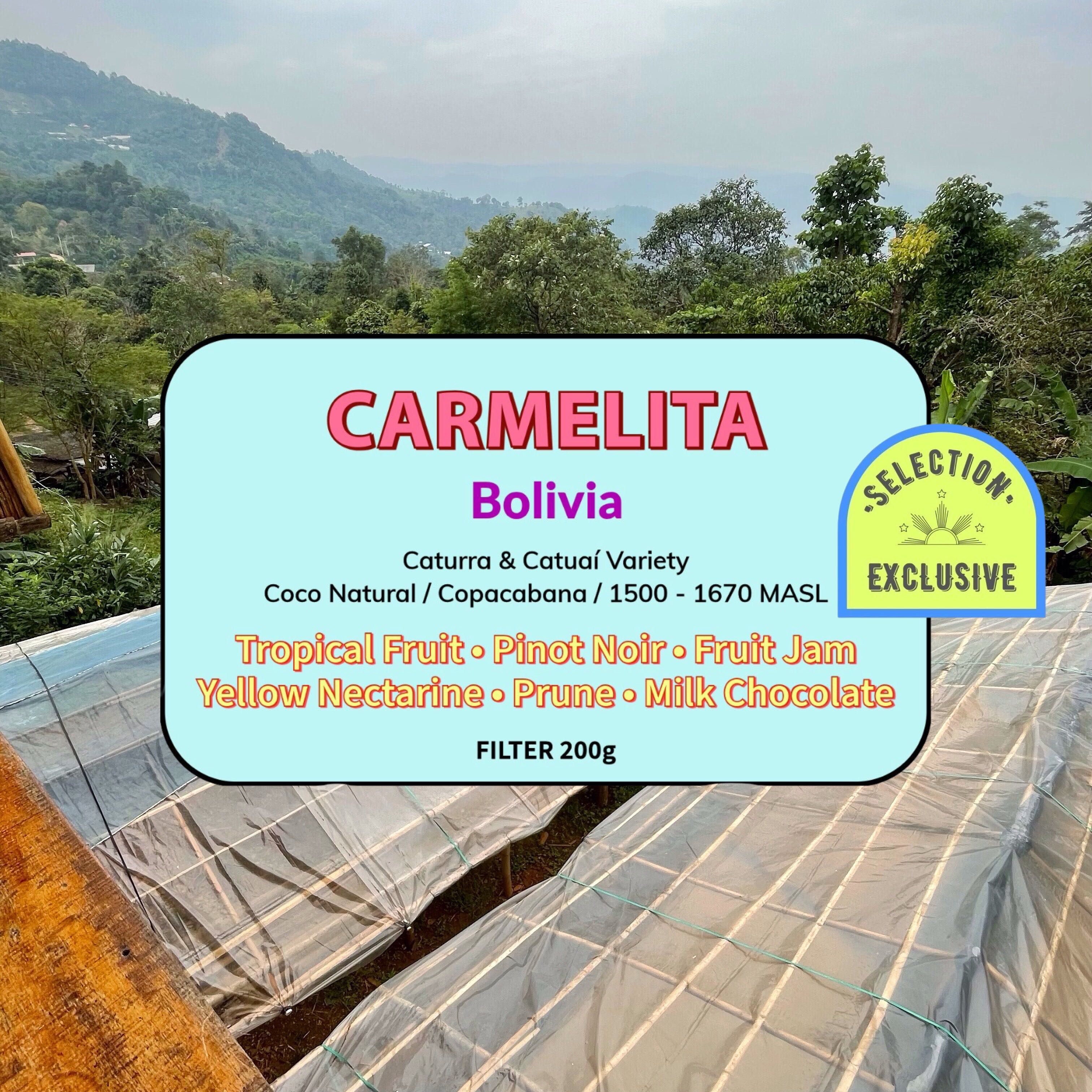 Carmelita - Coco Natural ( Filter Roasted )