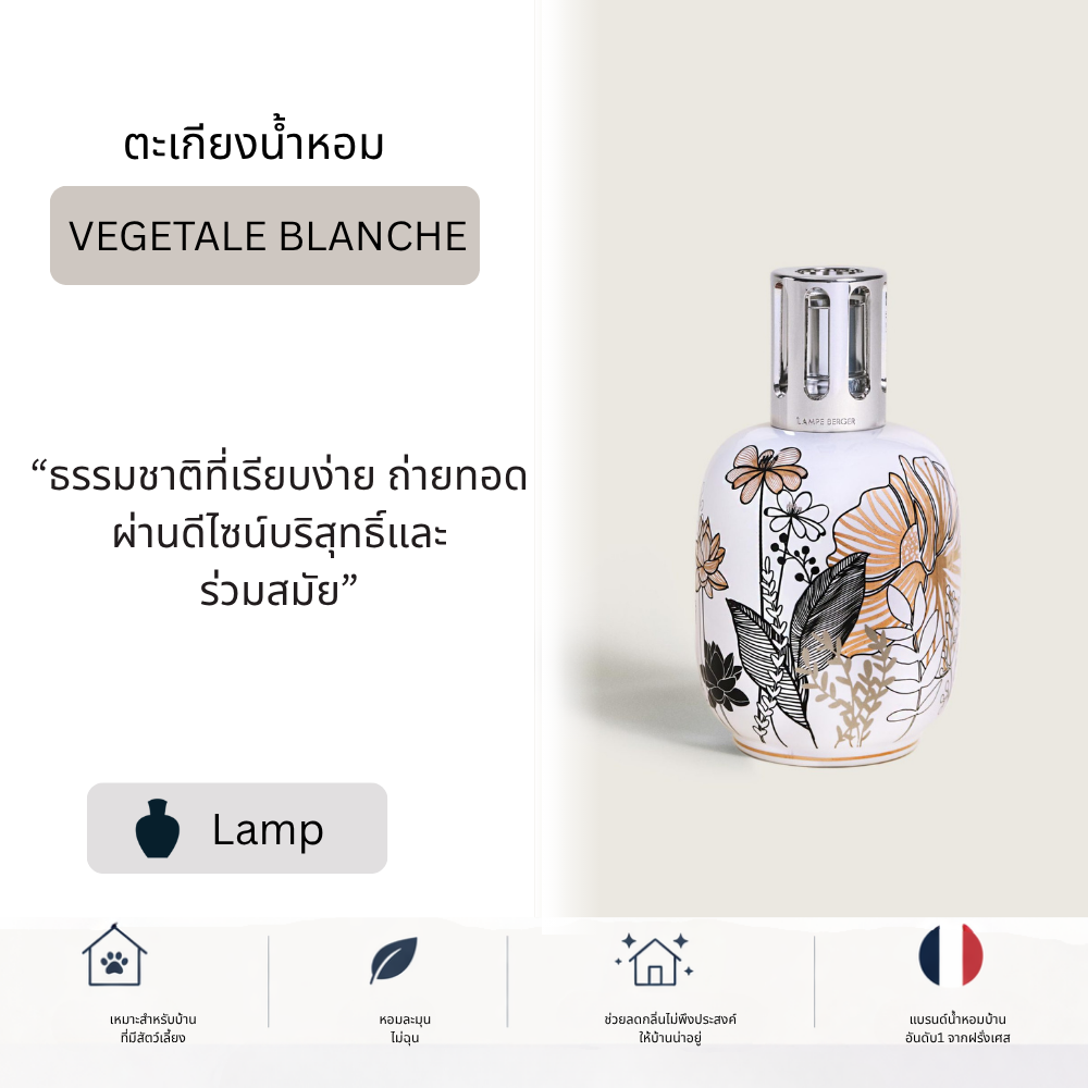 Vegetale Blanche Lamp + น้ำหอมขนาด 1 ลิตร