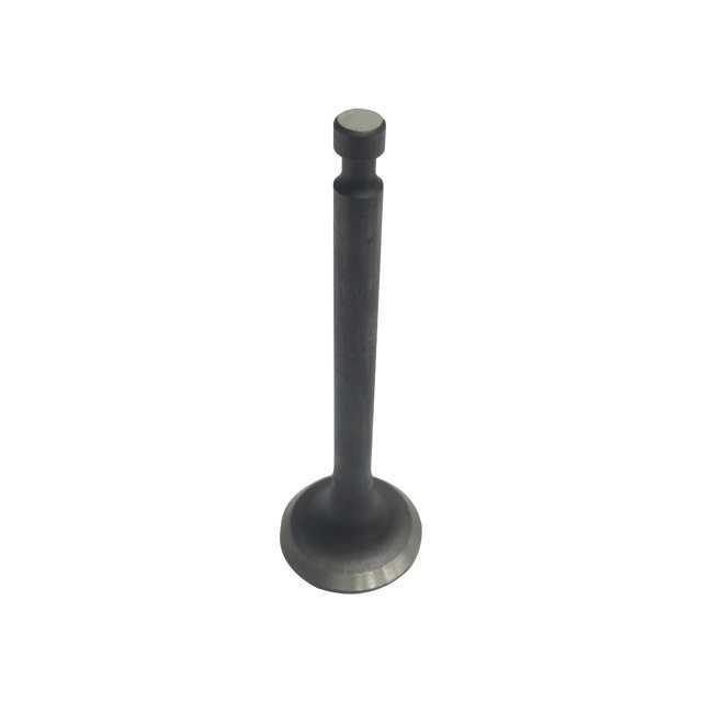 VALVE, EXHAUST / SP-20260892 / SP-20261210 / SP-20261211 / SP-20261457 / SP-20261645