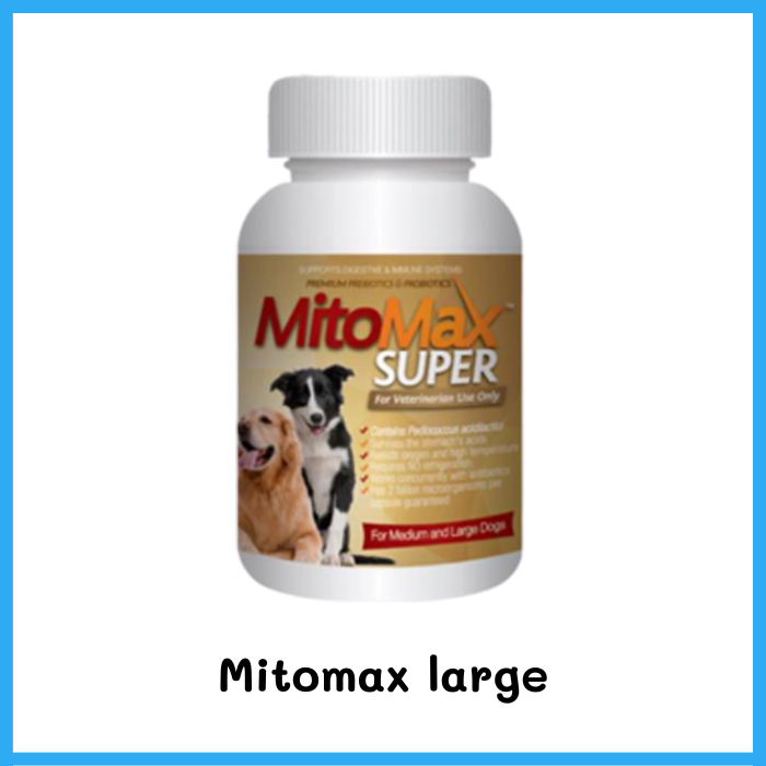 Mitomax Super Premium Probiotic อาหารเสริม สุนัขช่วยในระบบย่อยอาหาร