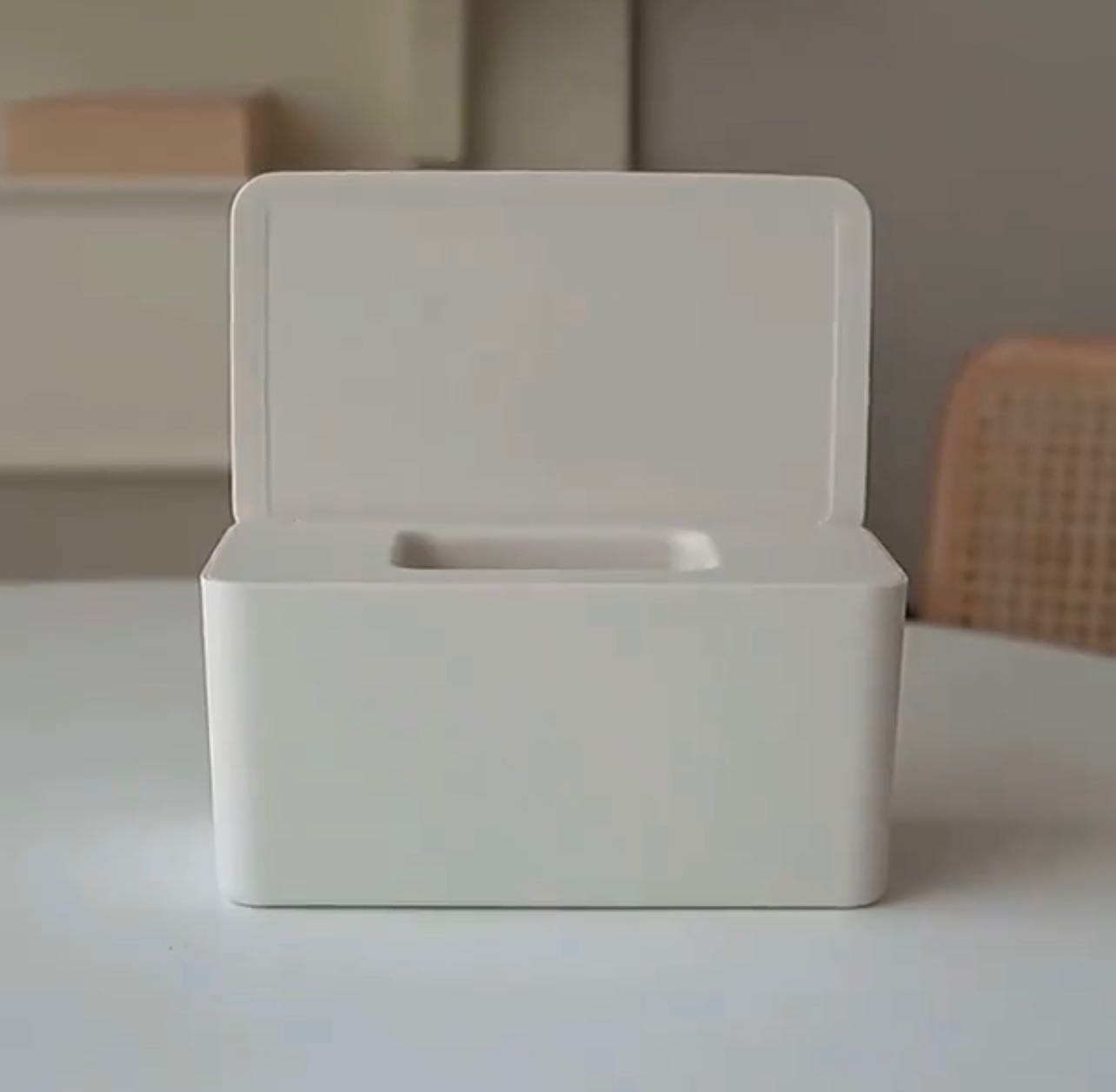 Simple white wet tissue case