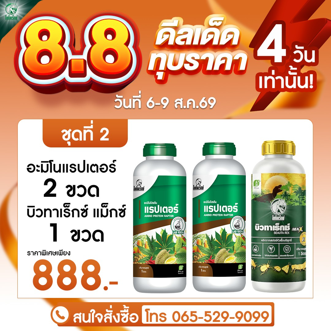 โปร 8.8 ชุดที่ 2