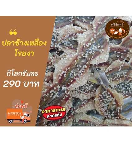 ปลาข้างเหลืองโรยงา (ครึ่งกิโลกรัม)