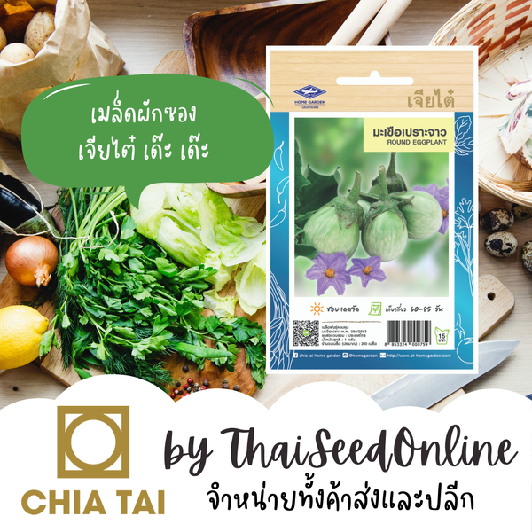 CTOP เมล็ดพันธุ์ มะเขือเปราะจาว ตราเจียไต๋ Round Eggplant มะเขือเปราะขาว มะเขือจาว