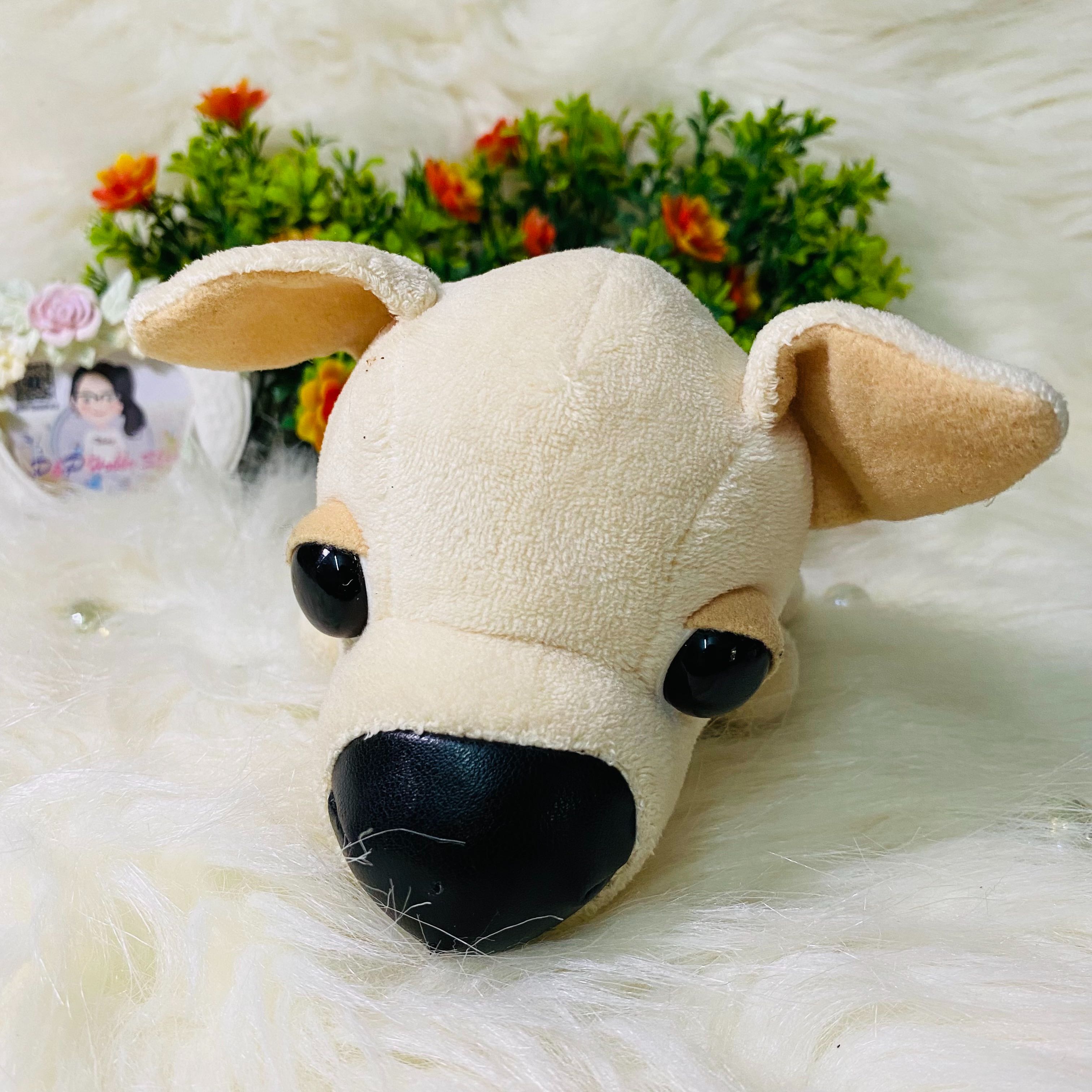 The Dog