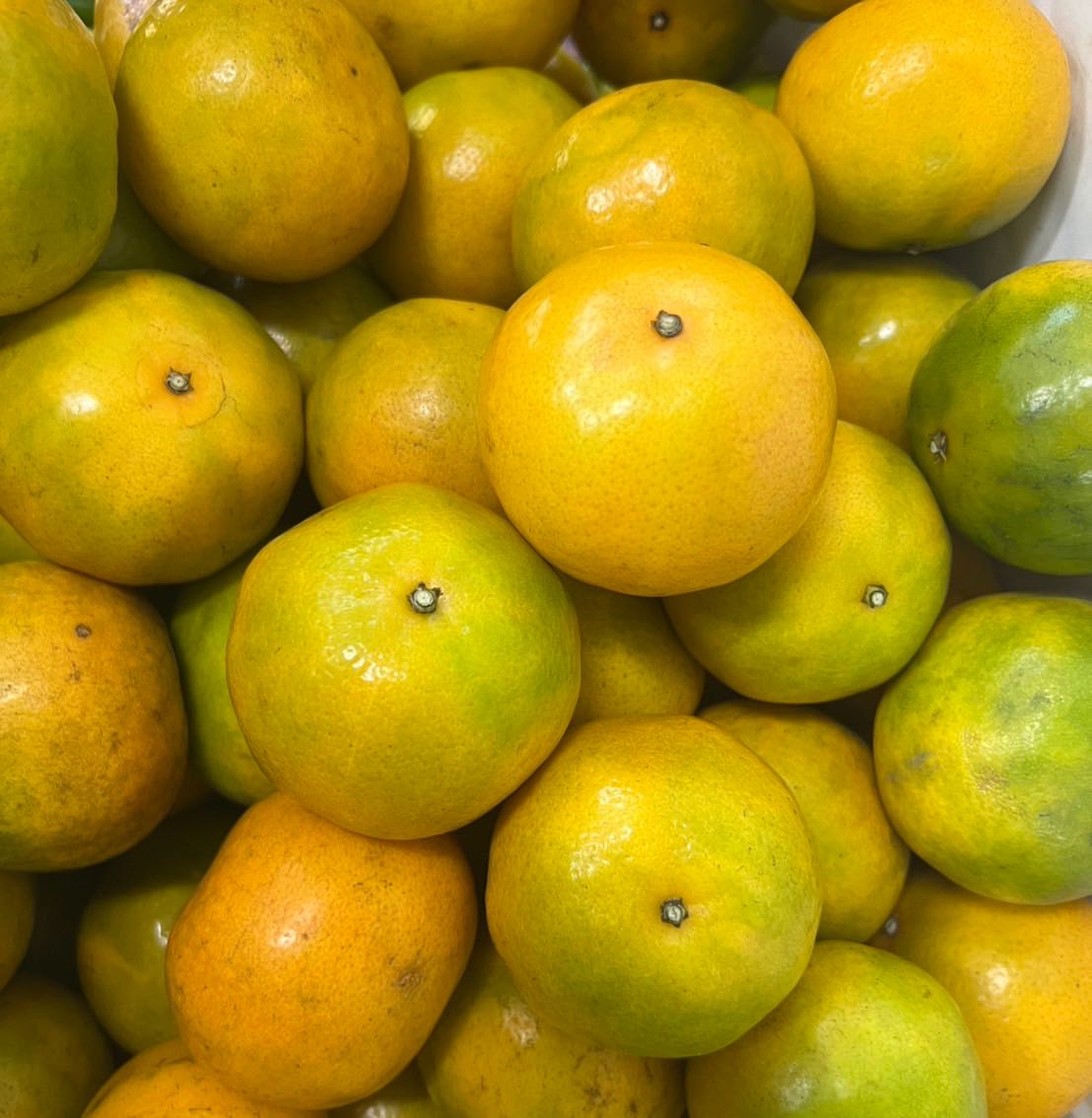 ส้มสายน้ำผึ้งอินทรีย์ แพค