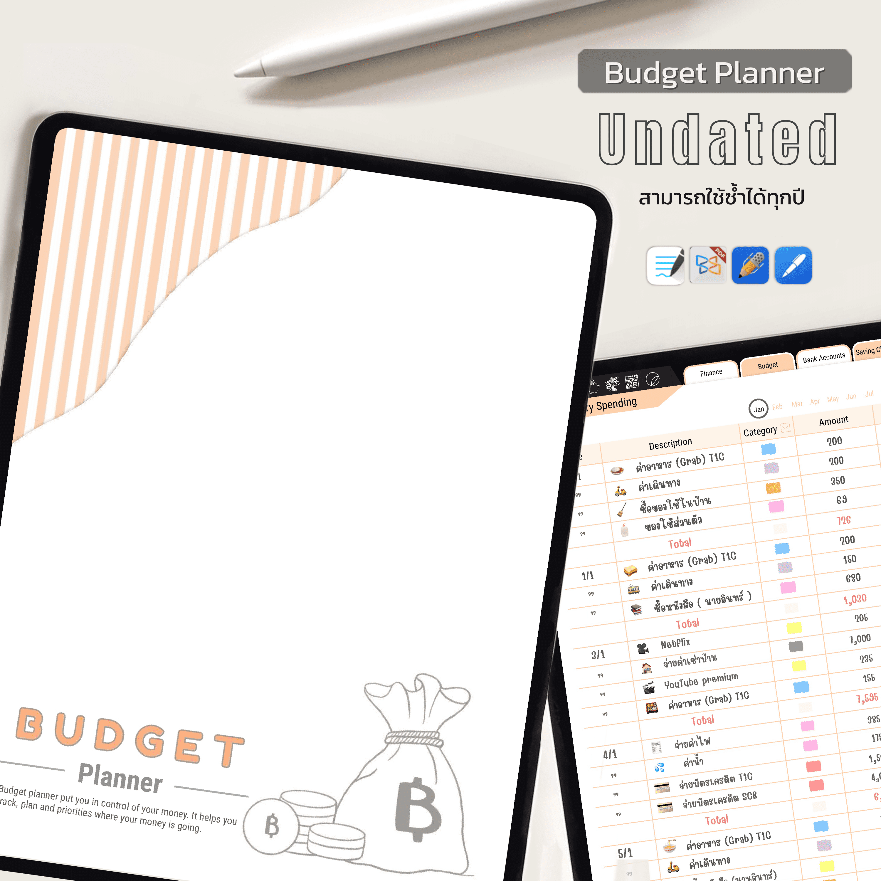 Budget Planner Undated(Peach Color )