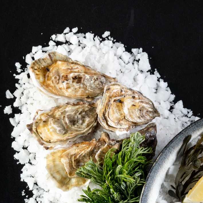 International Lunch Buffet, Monday - Saturday in June at JW Café