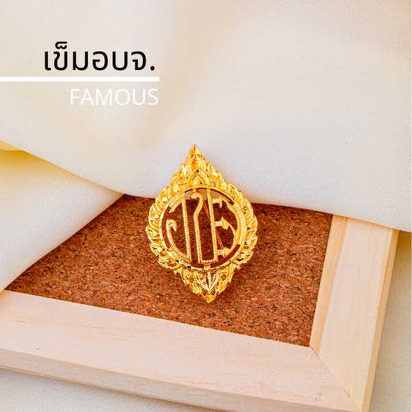 เข็มติดอก อบจ