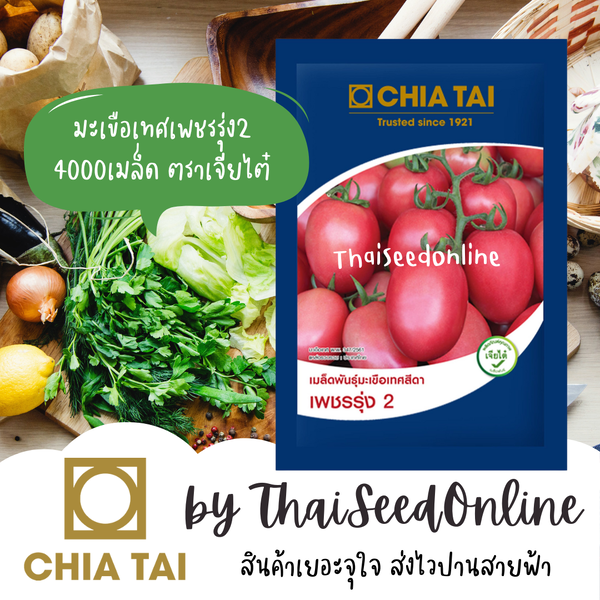 CTCOM มะเขือเทศสีดาลูกผสม ซองใหญ่ 4000 เมล็ด หมดอายุ 5/2569 เพชรรุ่ง2 ตราเจียไต๋ เพชรรุ่ง มะเขือส...