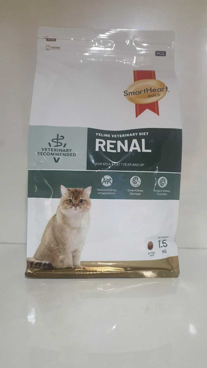 RENAL