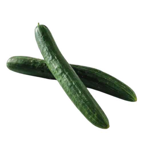 FG07004 แตงกวาญี่ปุ่น Japanese Cucumber ( 500g )