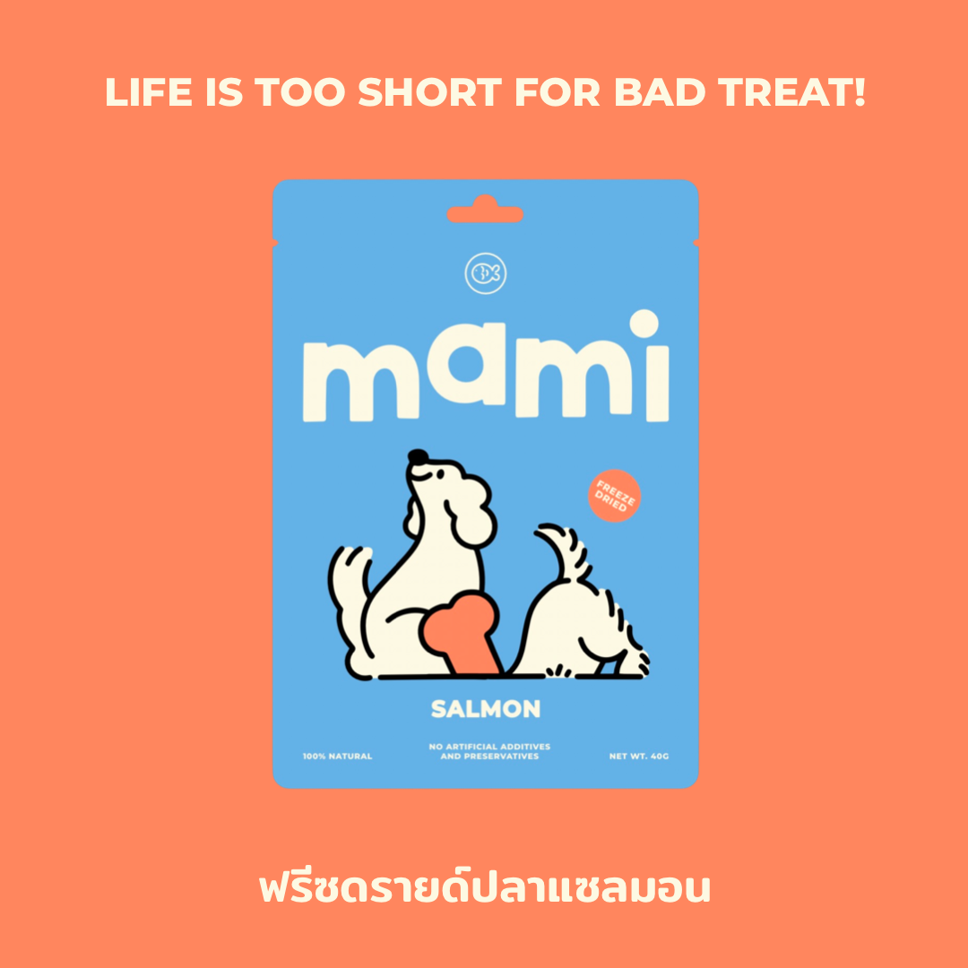 mami YUMMY FREEZE DRIED - SALMON แซลมอน ฟรีซดราย (40 g.)