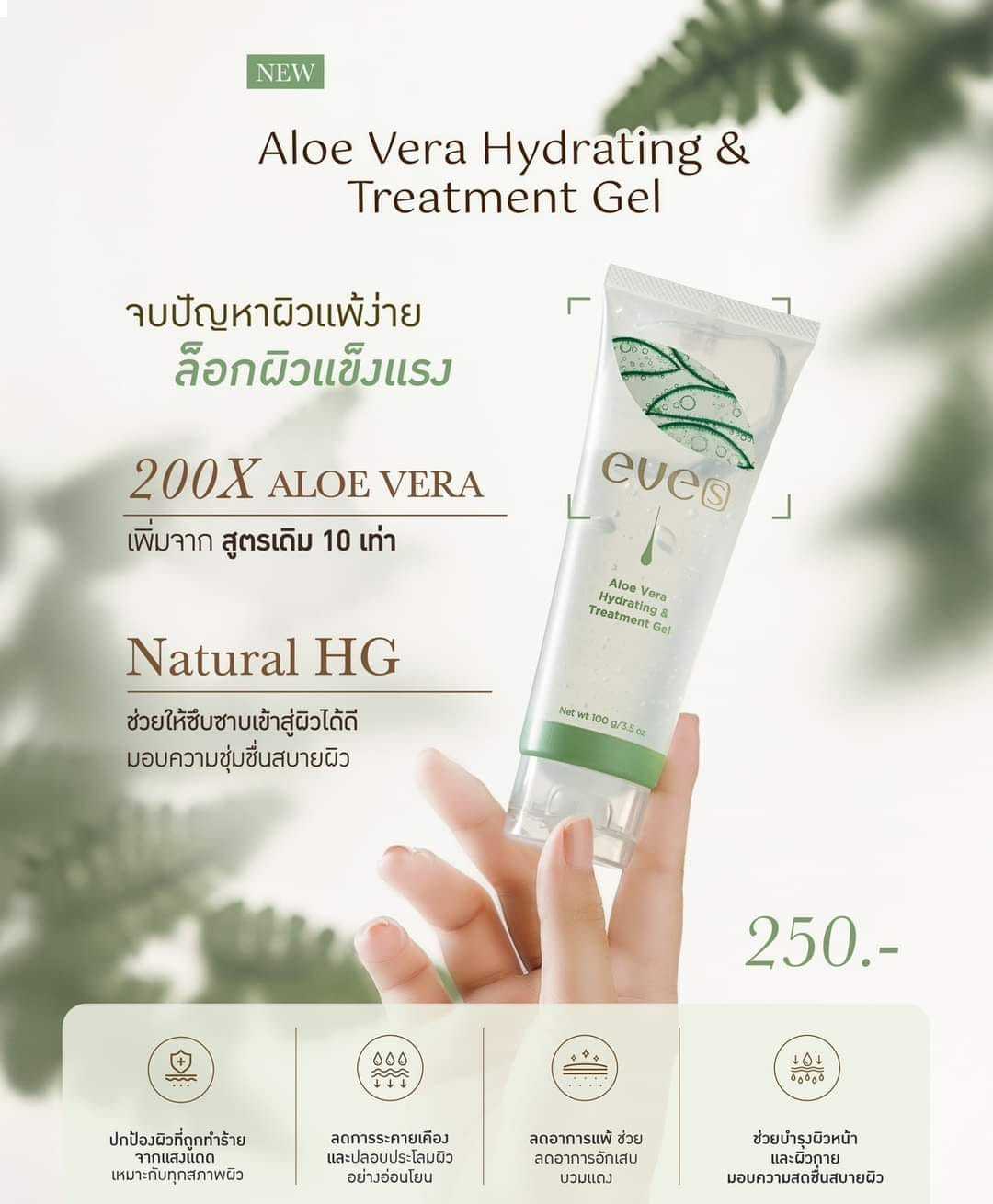 อโลแคคตัสสูตรใหม่
