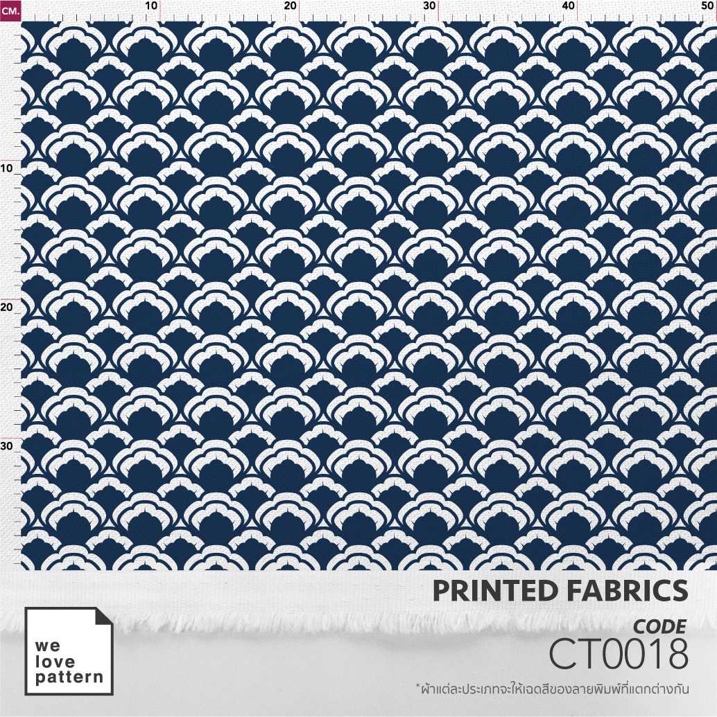 รหัสลาย : CT0018