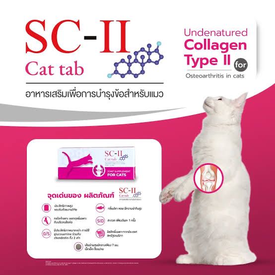 SC-II cat tab collagen Typ II 10mg for cat🐈🐈‍⬛🐈
