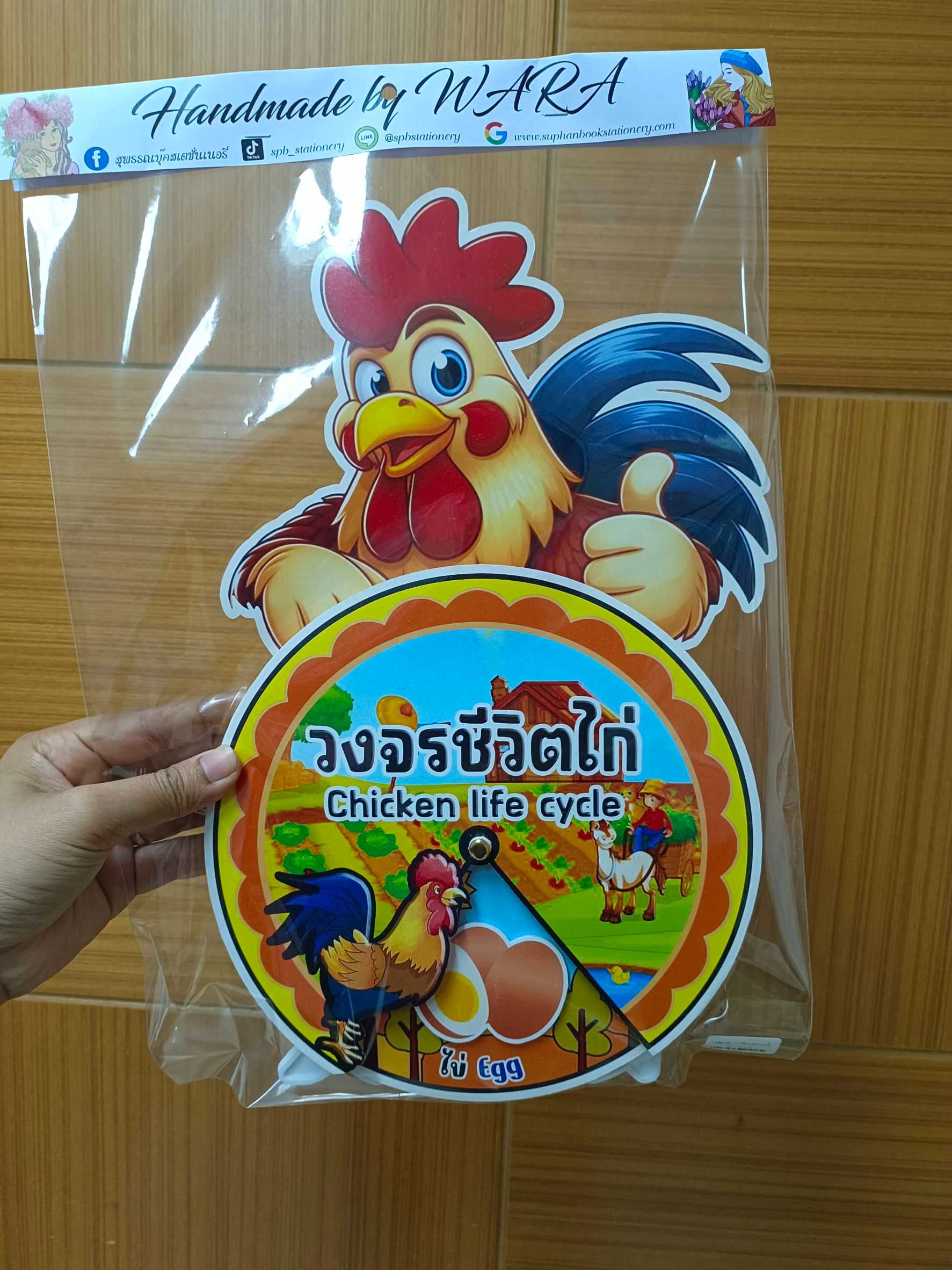 งานสื่อ วงล้อ วงจรชีวิตไก่มีหัว + ขาตั้ง ไทยอังกฤษ A3