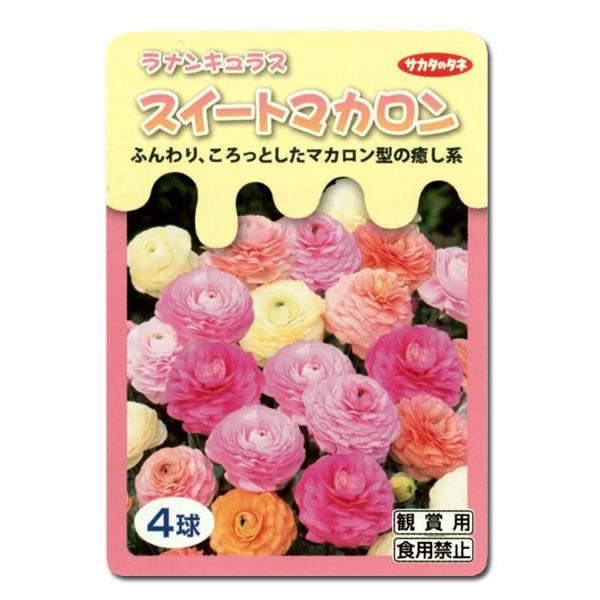 Ranunculusรวมสีพาสเทล (พร้อมส่ง)