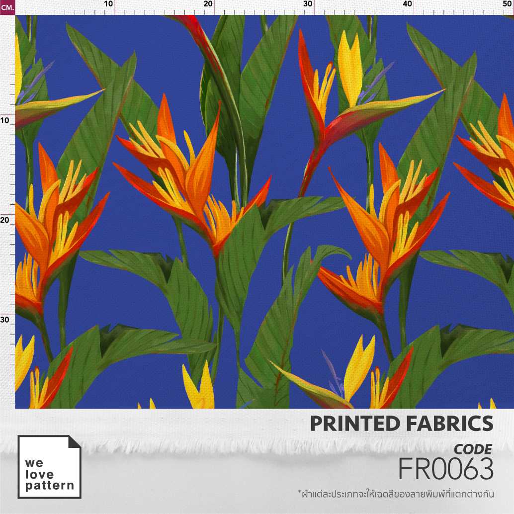 รหัสลาย : FR0063