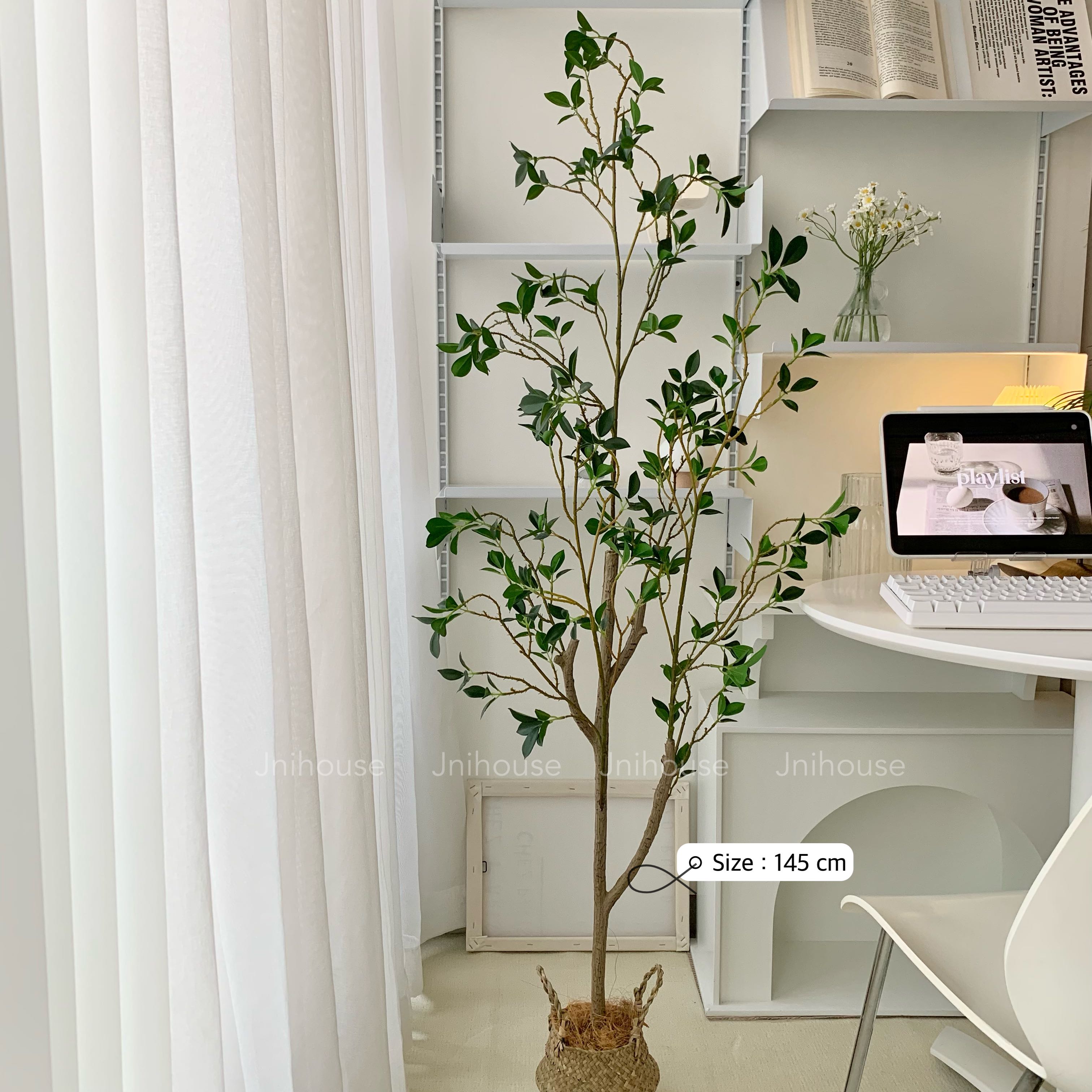 [พร้อมส่ง] Jnihouse : ต้นสึบากิประดิษฐ์ แถมตะกร้าสาน (Tsubaki Potted Plant)(Tree)