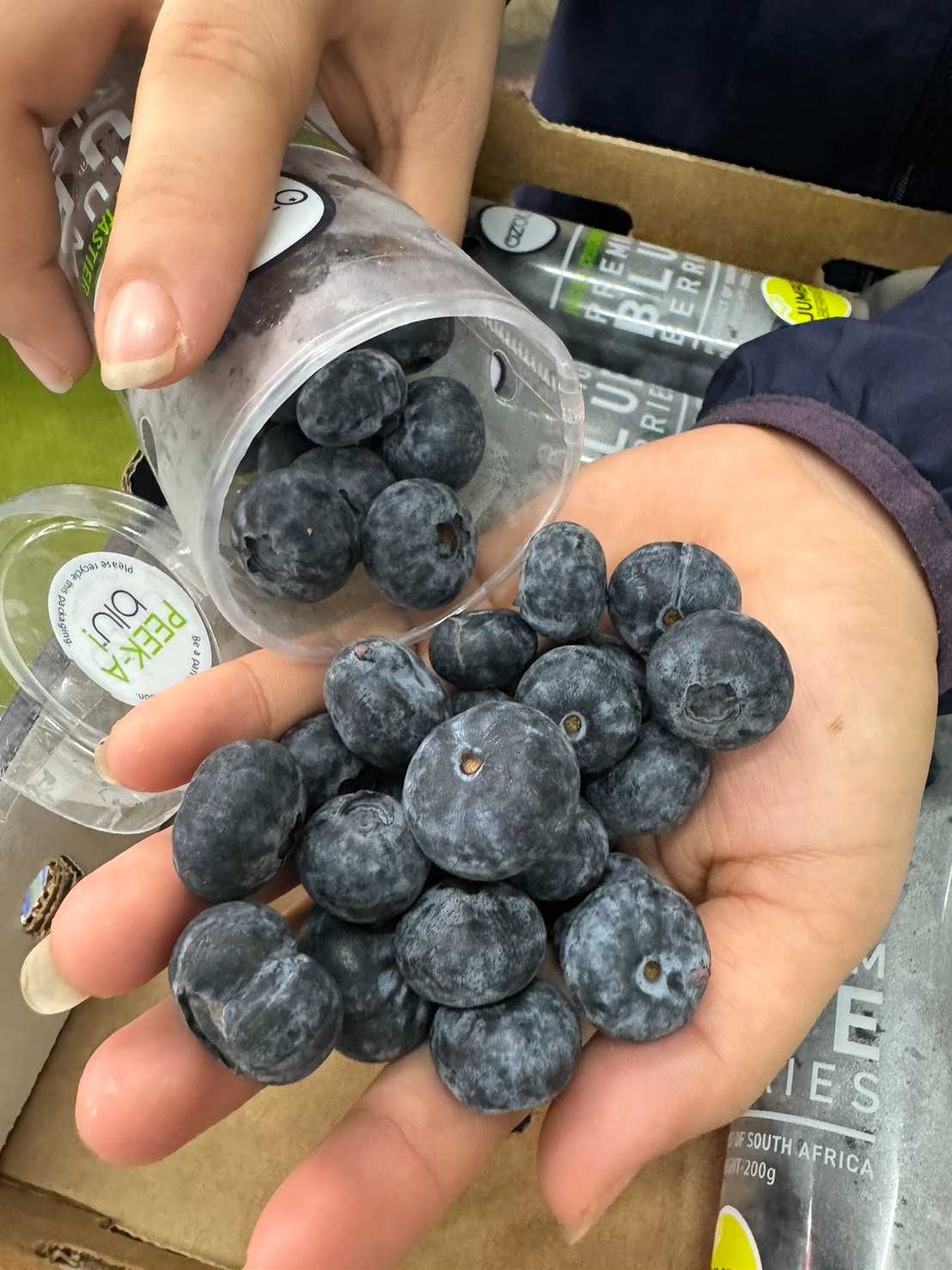 (ปลีก) บลูเบอร์รี่หลอด #Jumbo ozblu 200g.