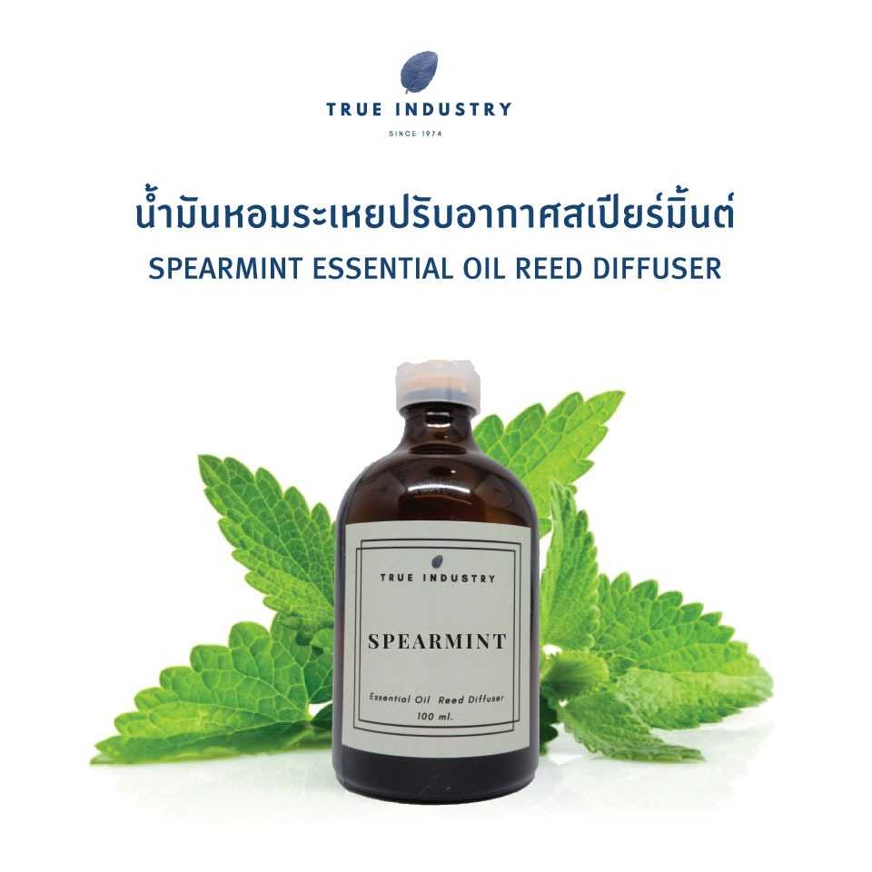 น้ำมันหอมระเหย สเปียร์มิ้นต์ สำหรับปรับอากาศ (Spearmint Essential Oil Reed Diffuser)
