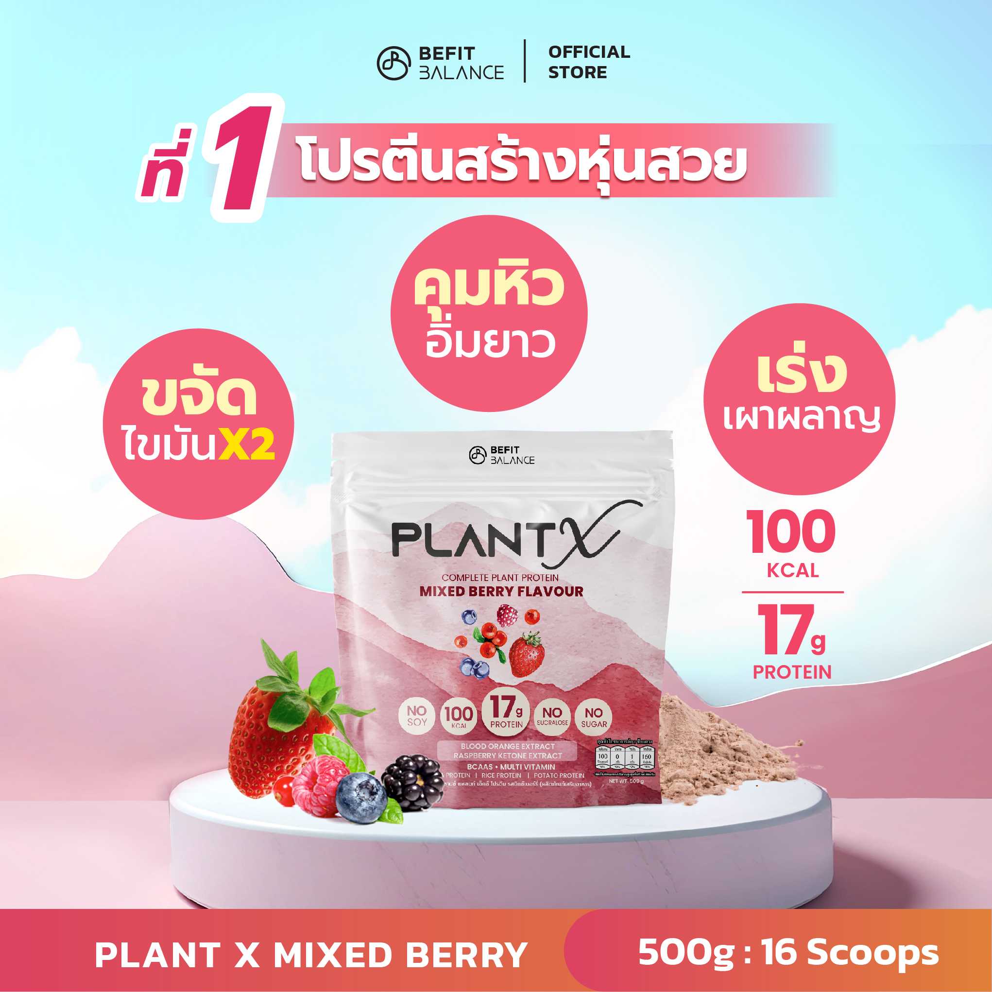 NEW! PLANT X MIXED BERRY