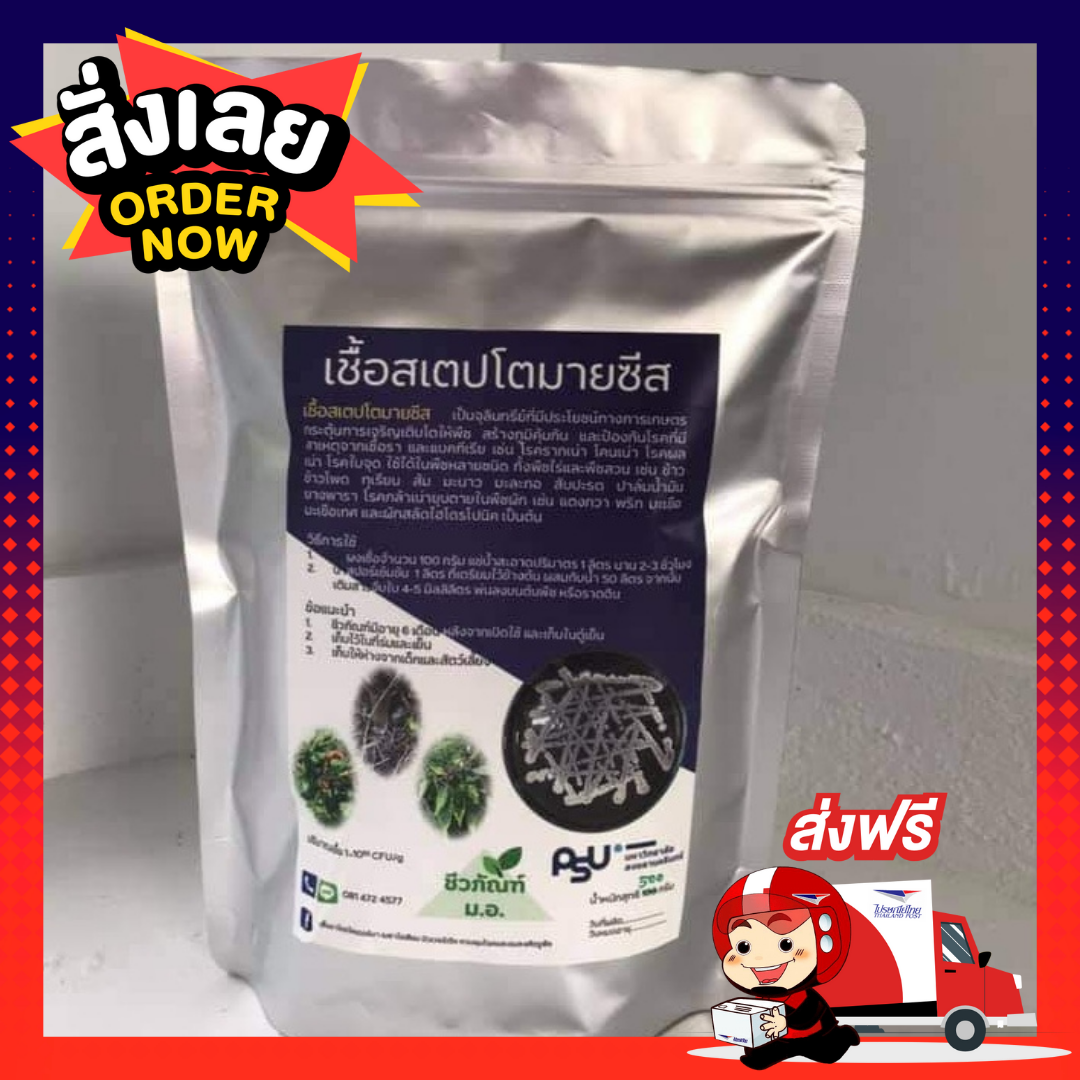 หัวเชื้อสเตปโตมายซีส🧫 100 กรัม : 4 ซอง 🚚ส่งฟรีทั่วประเทศ