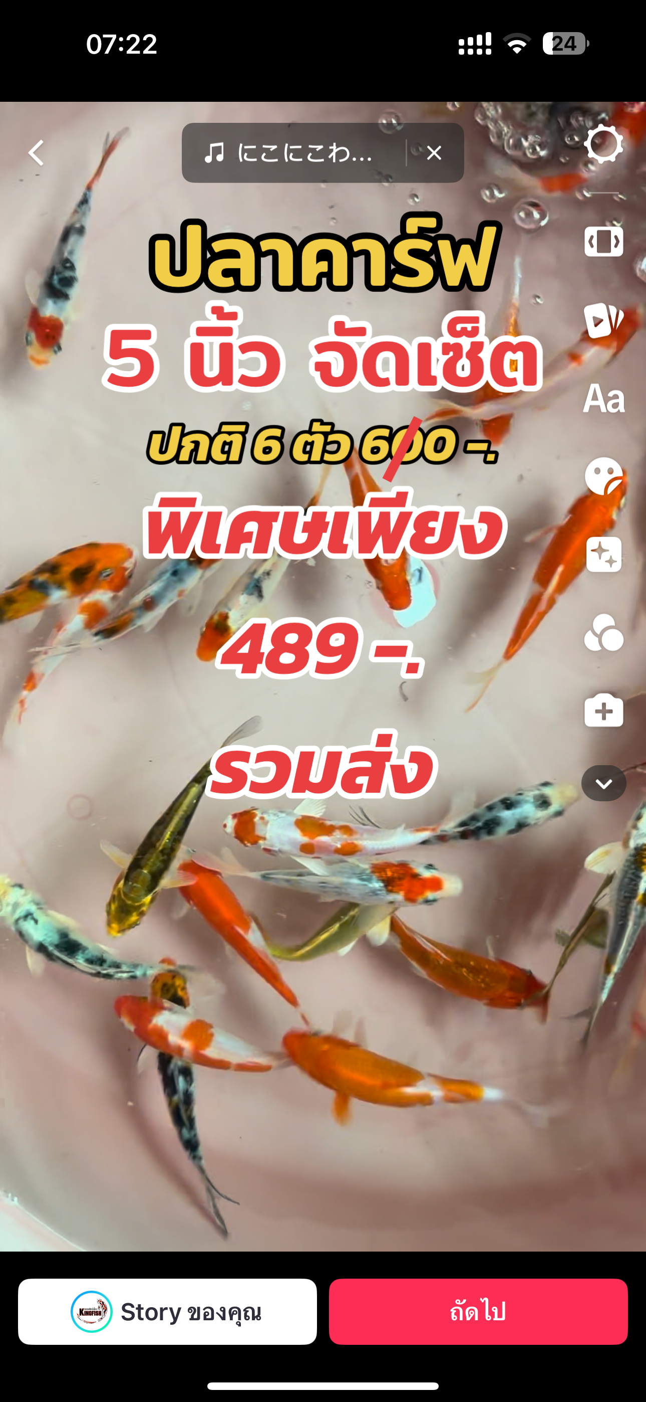 พร้อมส่ง ปลาคาร์ฟ ลูกนอก 5 นิ้ว ชุด 6 ตัว คละสี คละลาย