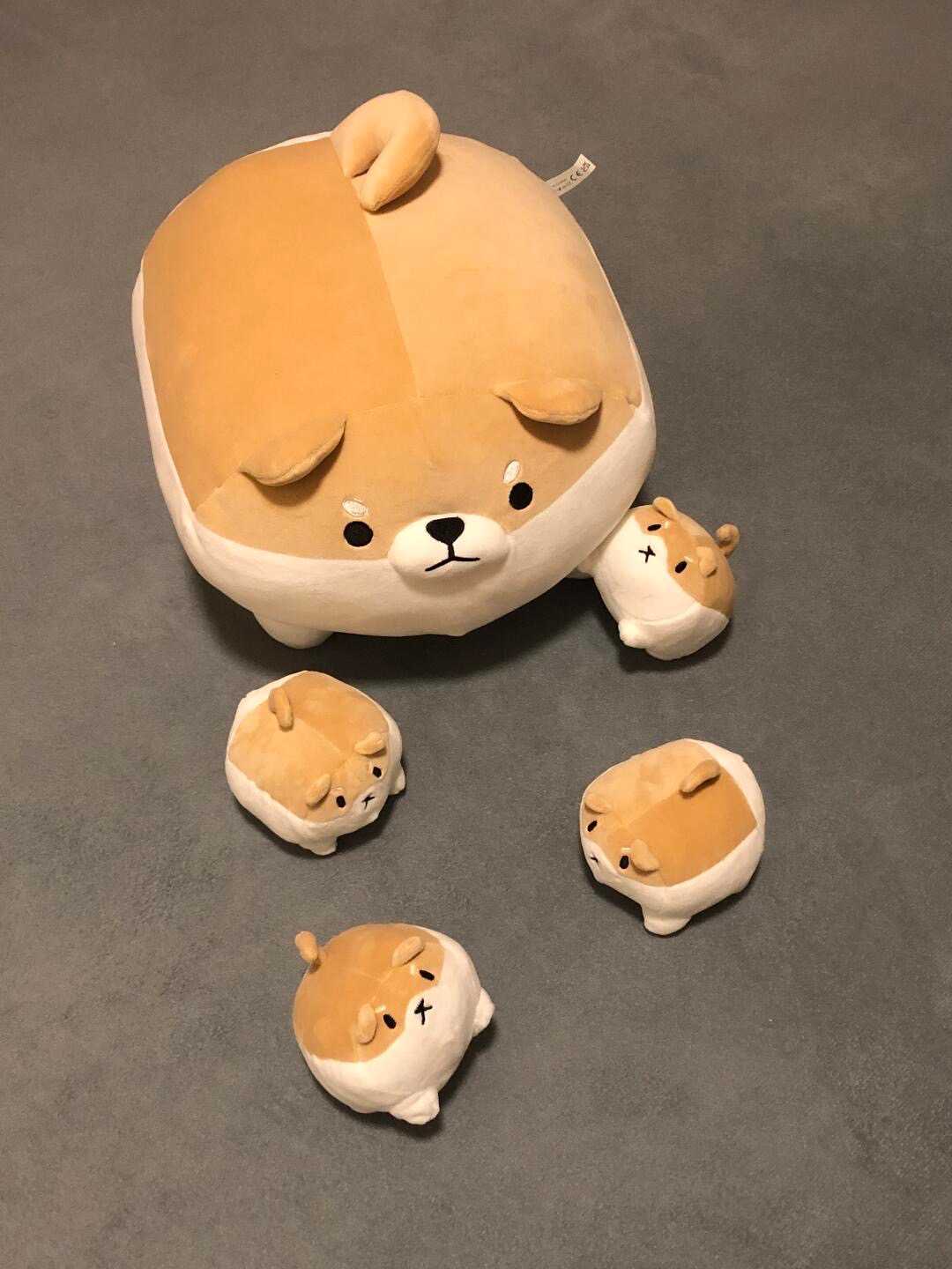 แม่ชิบะกับลูกๆ