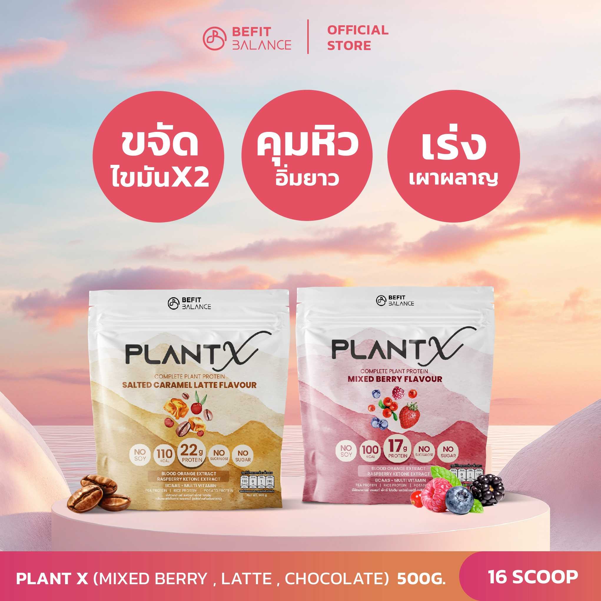 Set 2 NEW! Plant X