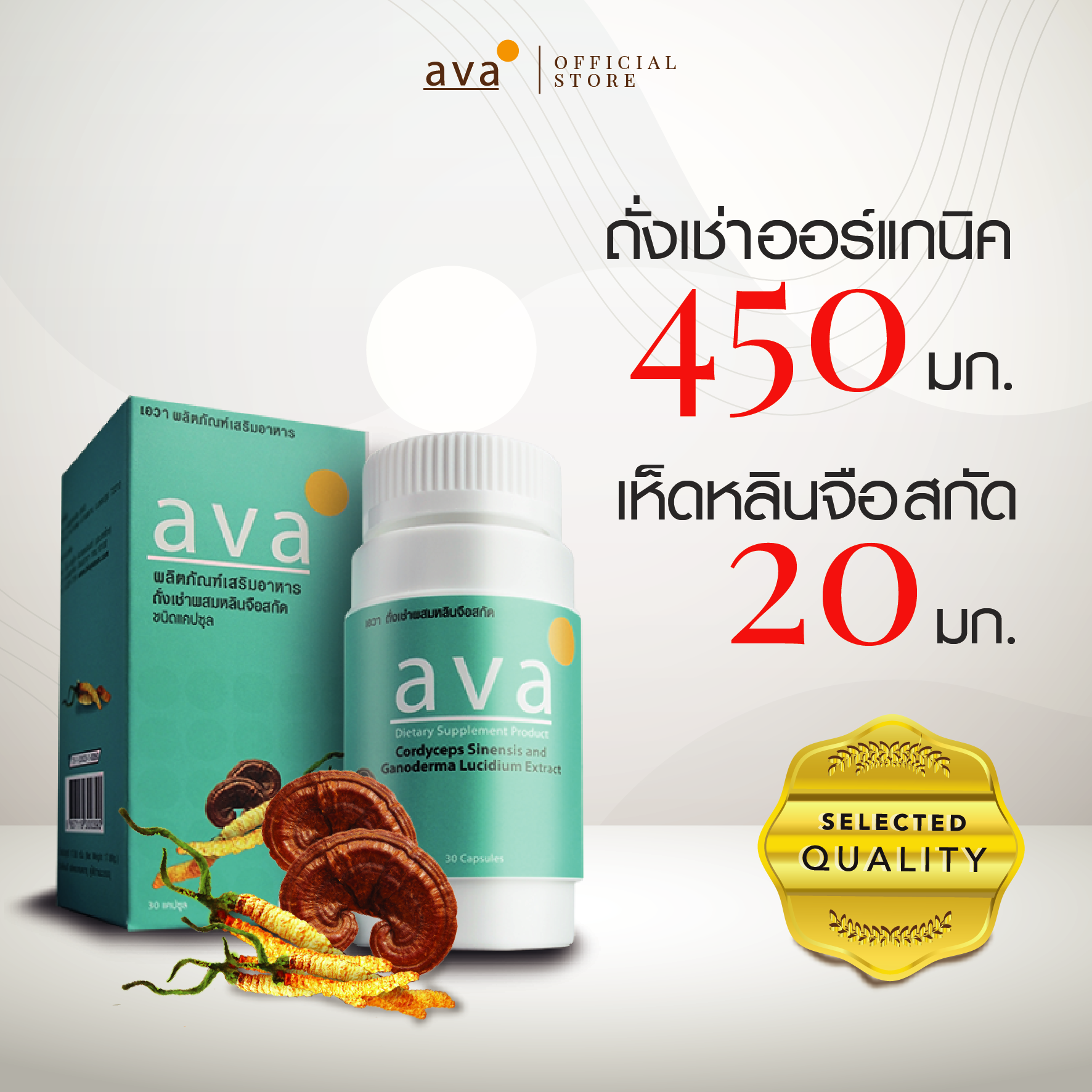 ava ถั่งเช่า ผสม เห็ดหลินจือ สกัดเข้มข้น 30 แคปซูล ( Cordyceps Sinensis and Reishi Extract )