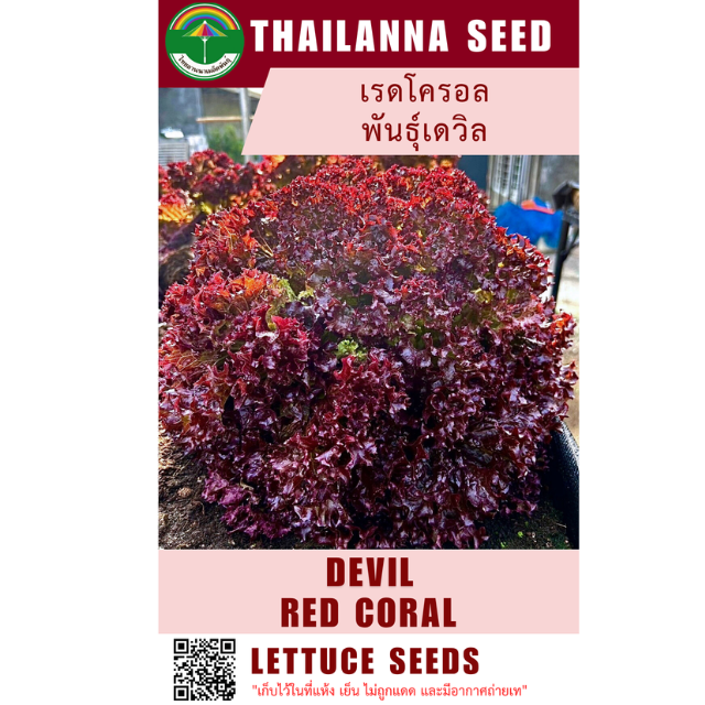 เรดโครอล พันธุ์เดวิล ( ขนาด 10 กรัม ) รหัสสินค้า 1034
