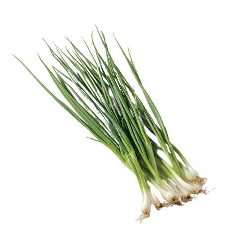 FG04014 ต้นหอม Spring Onion ( 100g )