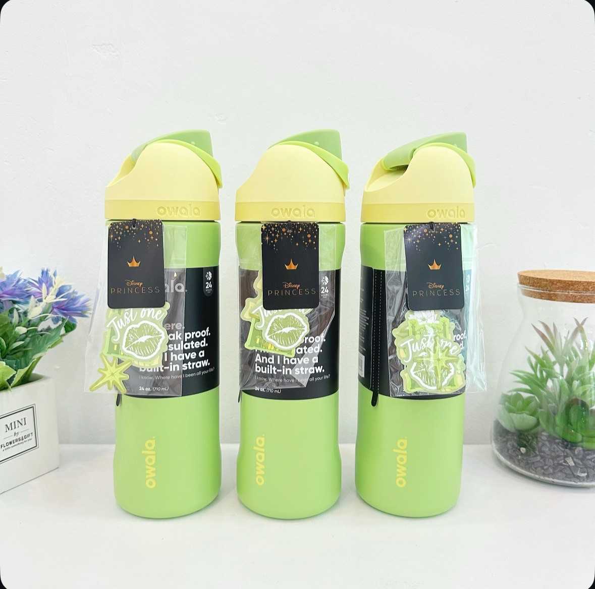 Owala FreeSip 24 Oz Disney Princess Collection (Tiana)
