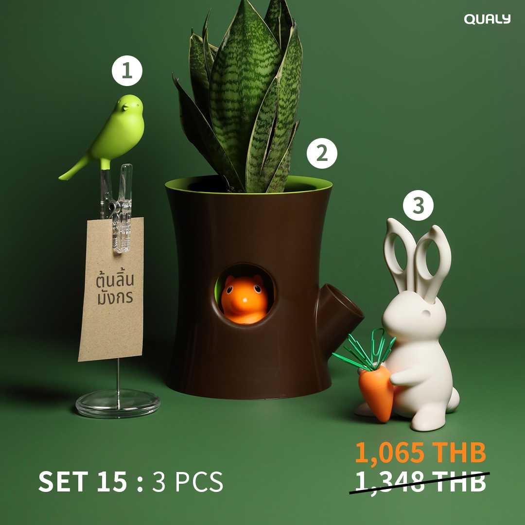 ECO GIFT SET 15