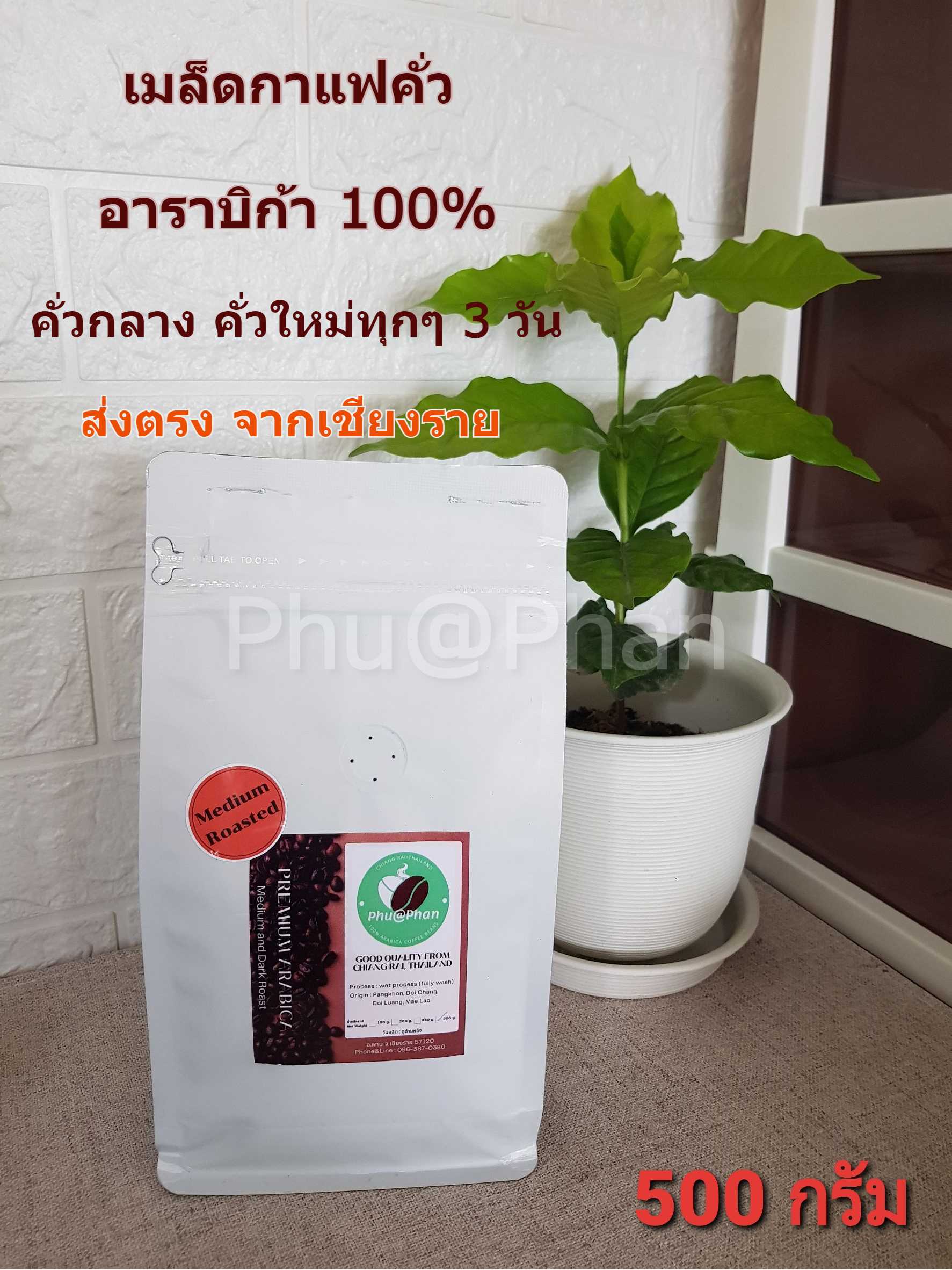 Phu@Phan เมล็ดกาแฟ อาราบิก้า แท้ 100% (คั่วกลาง) ขนาด 500 กรัม ผลผลิตดอยช้าง จ.เชียงราย