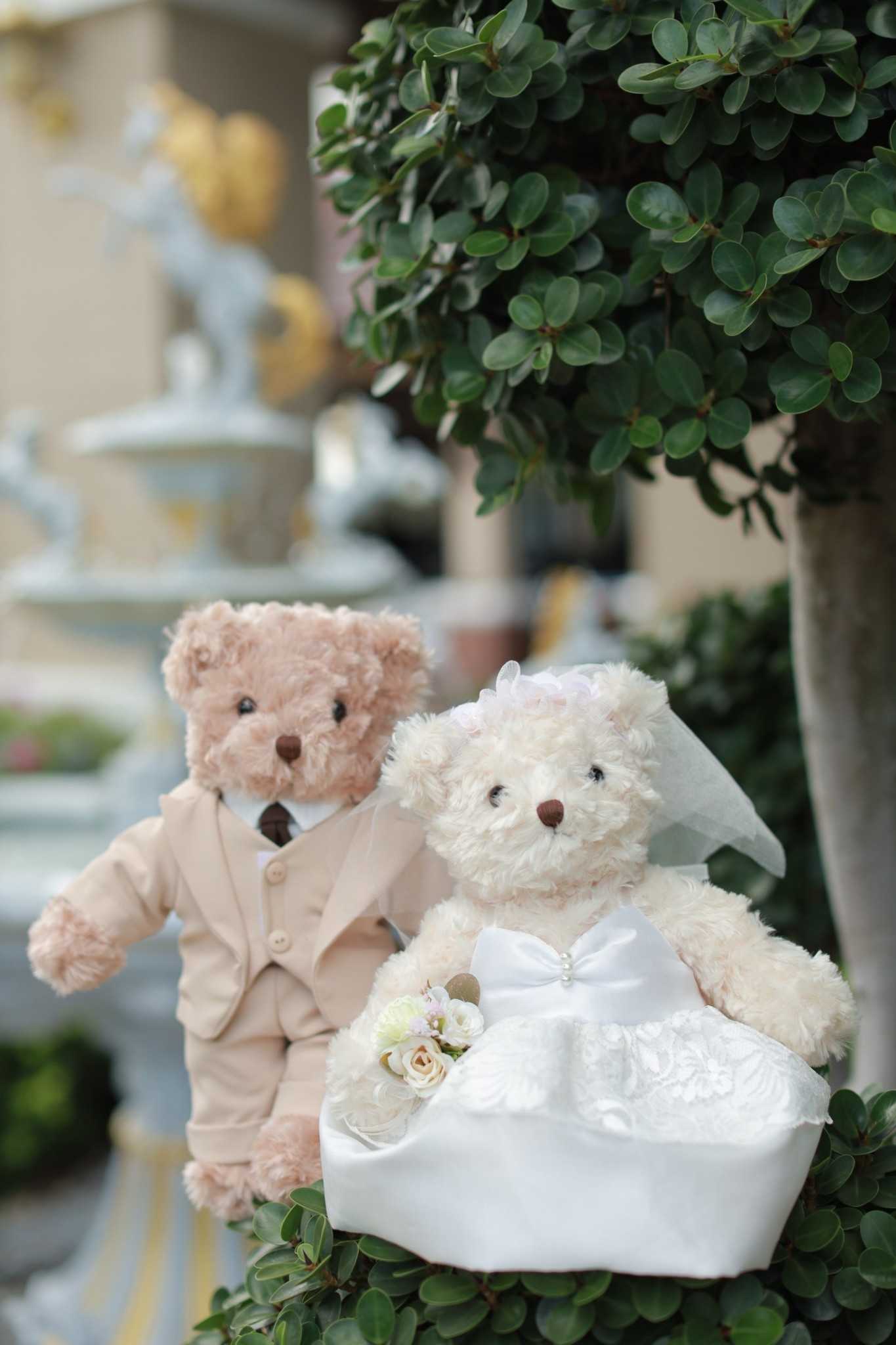 Teddy House : Wedding Collection ตุ๊กตาหมี คู่แต่งงาน คู่บ่าวสาว ของขวัญแต่งงาน ของขวัญบอกรัก