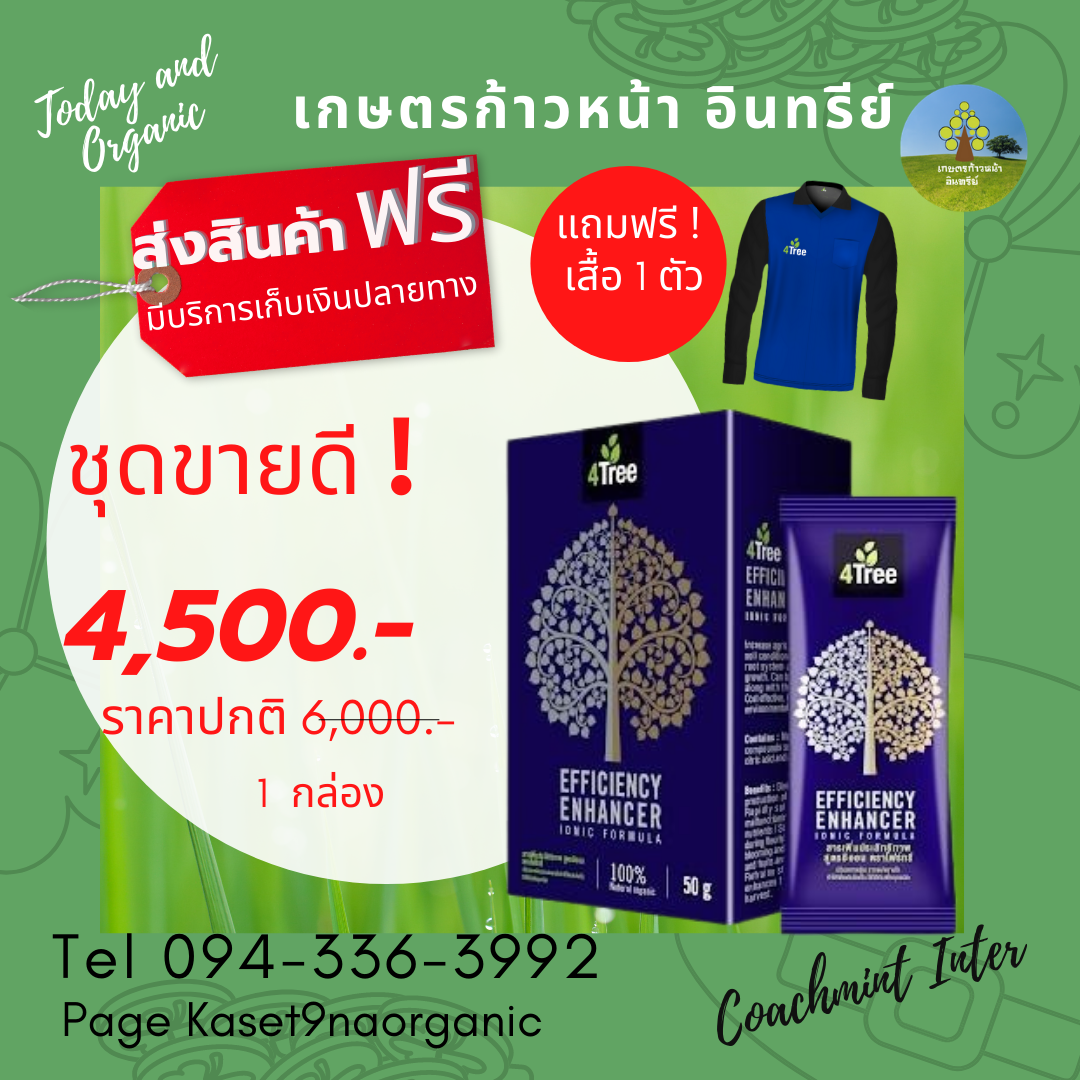 4Tree  1   กล่อง (box) = 10 ซอง  sachets)