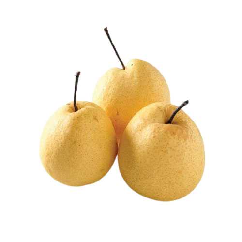 FG10027 สาลี่ Chinese Pear ( 3pc )