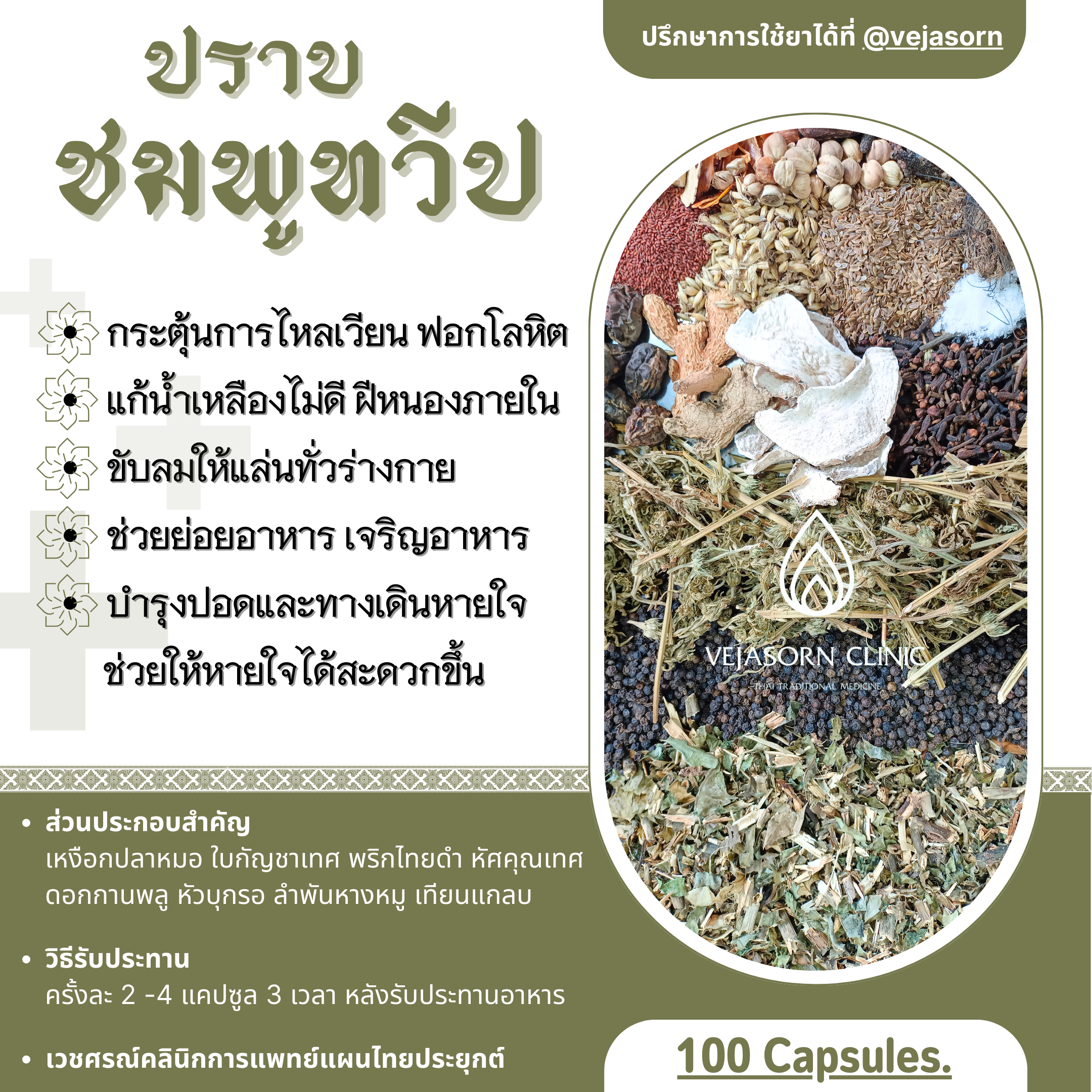 💊 ปราบชมพูทวีป