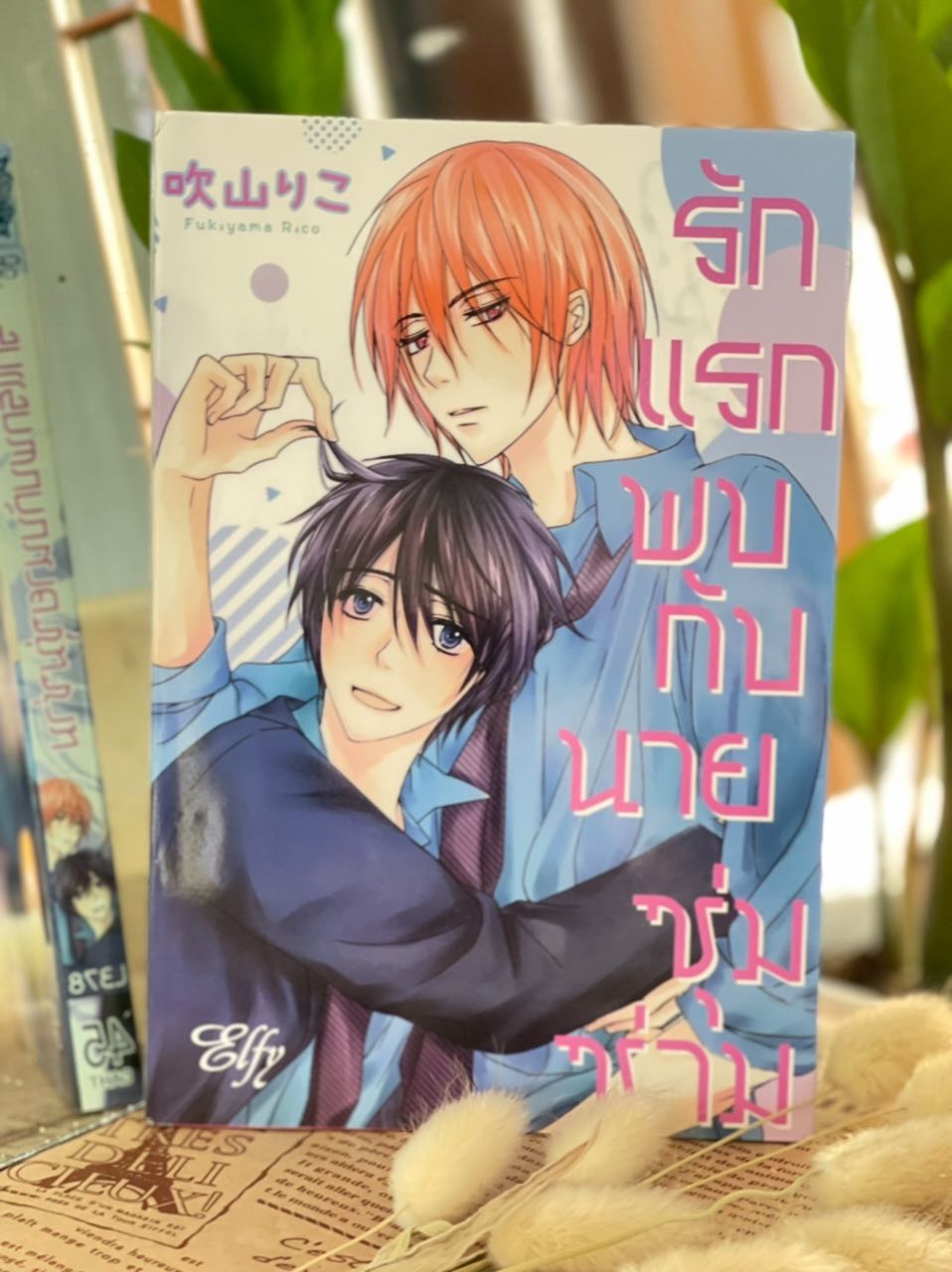 รักแรกพบกับนายซุ่มซ่าม