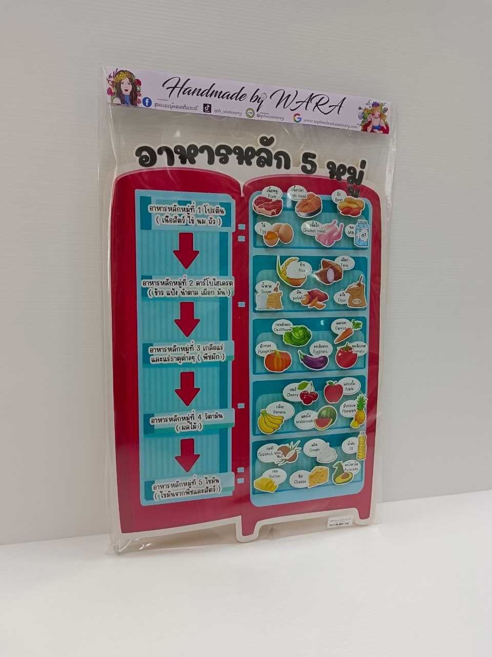 งานสื่อ ติดแปะ อาหารหลัก 5 หมู่ + ขาตั้งใส คำศัพท์ไทย-อังกฤษ