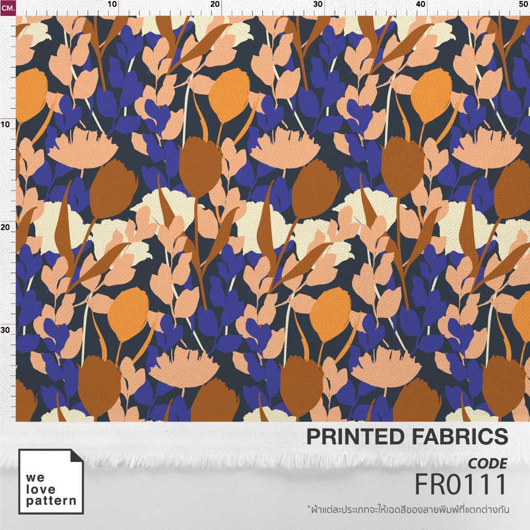 รหัสลาย : FR0111