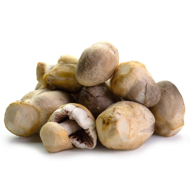 เห็ดฟาง 300g