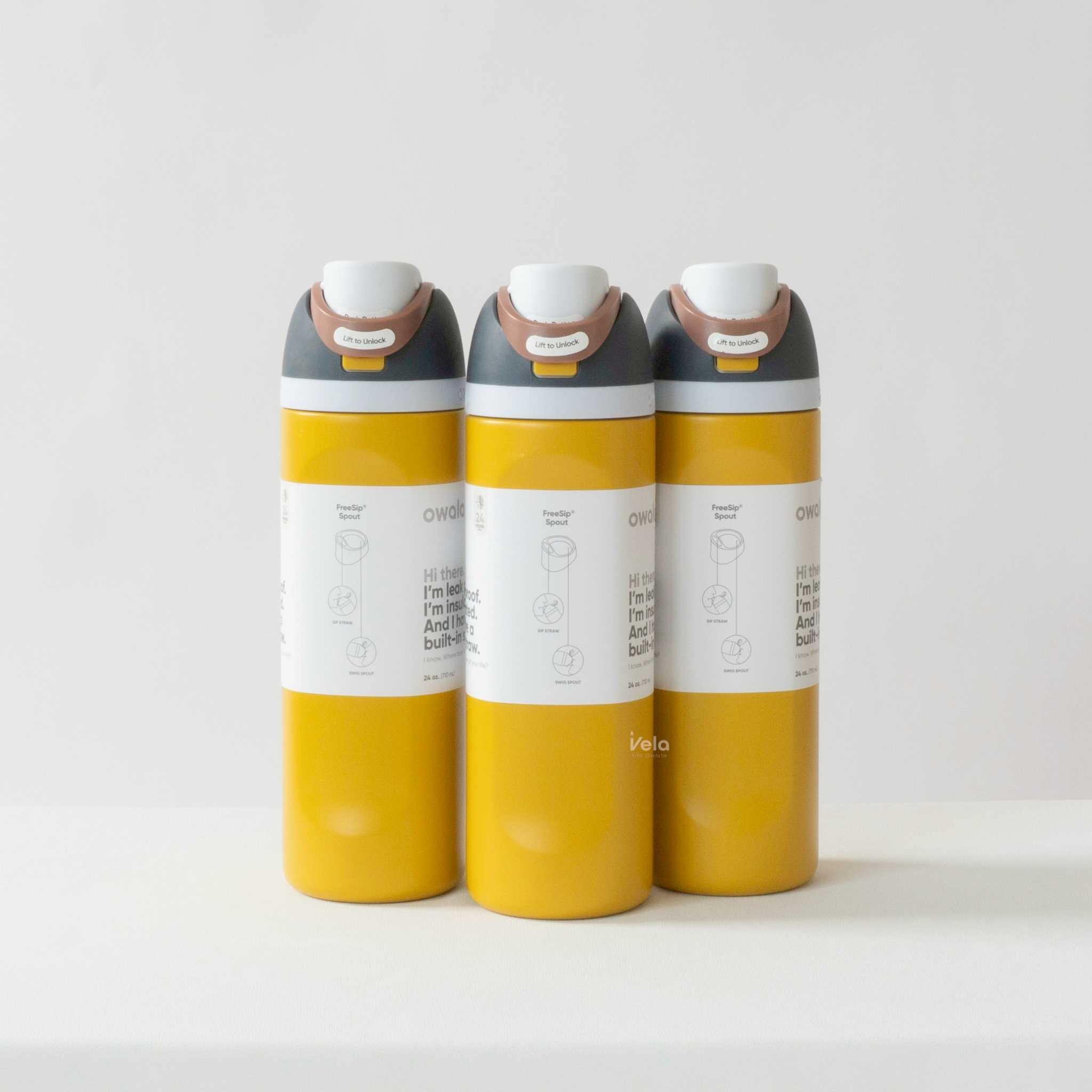 Owala FreeSip 24 oz (Golden Quest)