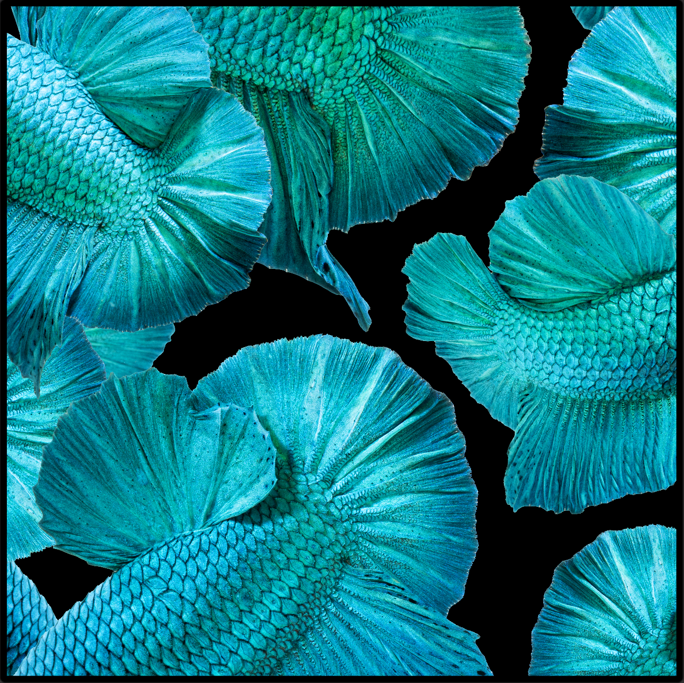 Kaset Green Mix Betta Scarf - Black/Green